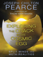 Exploring the Crack in the Cosmic Egg: Split Minds and Meta-Realities