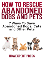 How To Rescue Abandoned Dogs and Cats: 7 Ways To Save Abandoned Dogs, Cats, and Other Pets