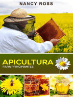 Apicultura para principiantes