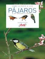 Cómo atraer a los pájaros a su balcón o jardín