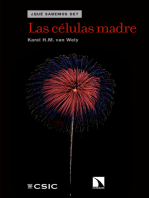 Las células madre