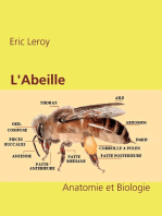 L'Abeille: Anatomie et Biologie