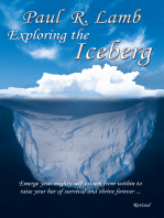 Exploring the Iceberg