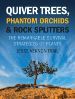 Quiver Trees, Phantom Orchids & Rock Splitters: The Remarkable Survival Strategies of Plants