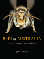 Bees of Australia: A Photographic Exploration