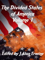 The Divided States of America Vol. 1