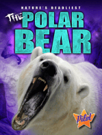 The Polar Bear