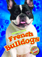 French Bulldogs