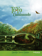 Tu-Yo Caminando