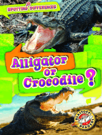 Alligator or Crocodile?