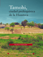 Tamohi, ciudad prehispánica de la Huasteca