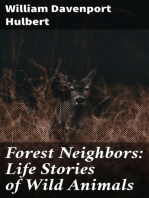 Forest Neighbors: Life Stories of Wild Animals