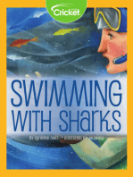 Swimming with Sharks