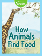 How Animals Find Food