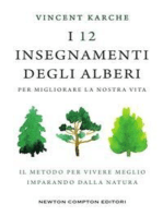 I 12 insegnamenti degli alberi per migliorare la nostra vita