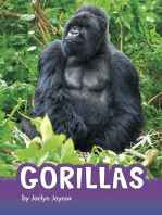 Gorillas