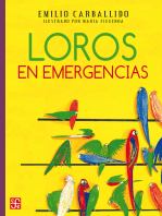 Loros en emergencias