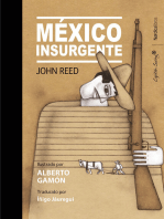 México Insurgente