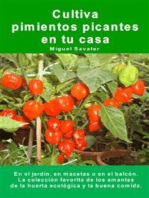 Cultiva pimientos picantes en tu casa. En el jardín, en macetas o en el balcón.: La colección favorita de los amantes de la huerta ecológica y la buena comida.