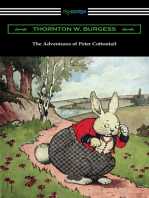 The Adventures of Peter Cottontail