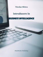 Introducere în Business Intelligence