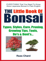 Little Book Of Bonsai