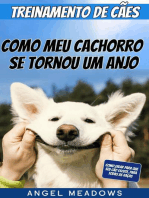 Treinamento de Cães: Como meu Cachorro se Tornou um Anjo