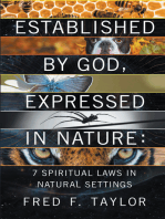 Established by God, Expressed in Nature: 7 Spiritual Laws in Natural Settings