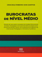 Burocratas de Nível Médio: estudo de caso sobre a atuação do Analista Educacional do Setor Pedagógico da Superintendência Regional de Ensino de Montes Claros, nos contextos do Programa de Intervenção Pedagógica e Itinerários Avaliativos