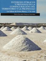 Intereses públicos y privados en la configuración del territorio y la propiedad:  Las Salinas del Peñón Blanco, 1778-1846