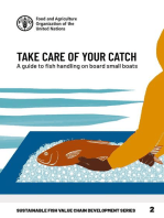 Take Care of Your Catch: A Guide to Fish Handling on Board Small Boats