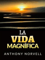 La Vida Magnífica (Traducido)