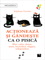 Acționează și gândește ca o pisică: liber, calm, demn, atent, încrezător, elegant, independent