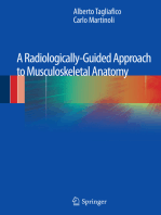 A Radiologically-Guided Approach to Musculoskeletal Anatomy