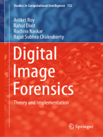 Digital Image Forensics: Theory and Implementation