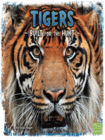 Tigers: Built for the Hunt