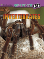 Invertebrates: A 4D Book