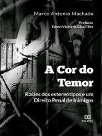 A Cor do Temor: raízes dos estereótipos e um Direito Penal de Inimigos