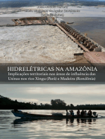 Hidrelétricas Na Amazônia Implicações Territoriais Nas Áreas De Influência Das Usinas Nos Rios Xingu (pará) E Madeira (rondônia)