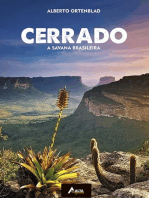 Cerrado