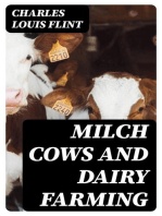 Milch Cows and Dairy Farming