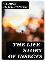 The Life-Story of Insects