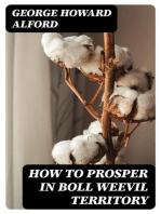 How to Prosper in Boll Weevil Territory