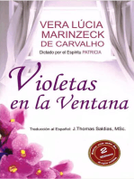 Violetas en la Ventana