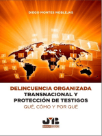 Delincuencia organizada transnacional y protección de testigos: qué, cómo y por qué