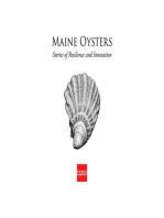 Maine Oysters: Stories of Resilience & Innovation