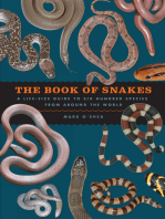 The Book of Snakes: A Life-Size Guide to Six Hundred Species from Around the World