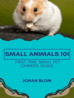 Small Animals 101: First-Time Small Pet Owners Guide