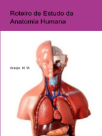 Roteiro De Estudo Da Anatomia Humana