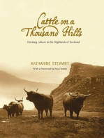 Cattle on a Thousand Hills